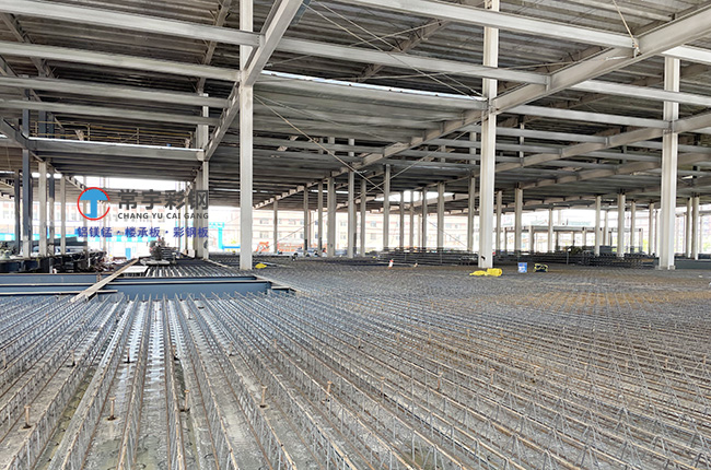 ��̶���ڸ���ܘǳа尲�b��