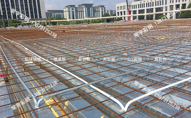 �_�ژǳа� www.slstone.com